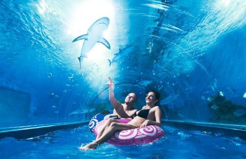 Domki Przy Tężni - Foto 34