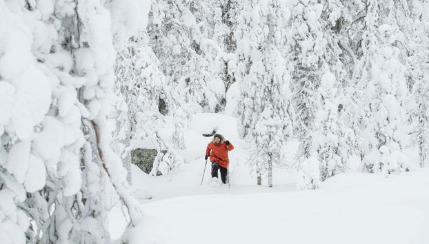 Exploring the Pyha Luosto National Park