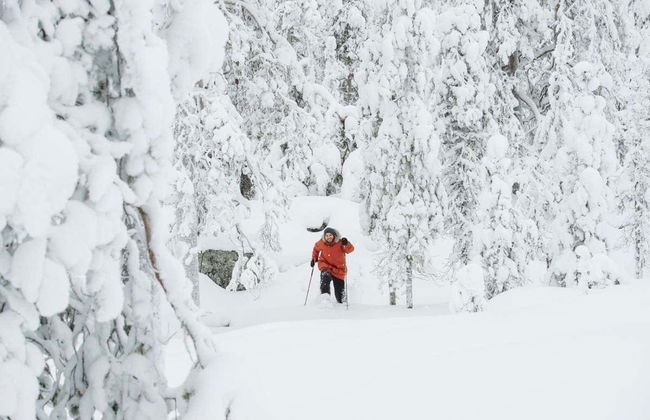 Tour con racchette da neve al Parco Nazionale Pyhä-Luosto - Foto 4