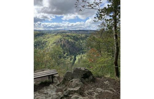 holiday home in the Franconian Forest - Foto 38