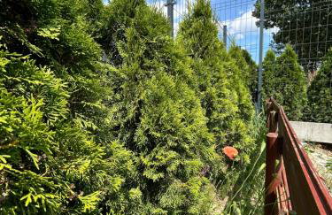 Biała Czapla - Foto 36