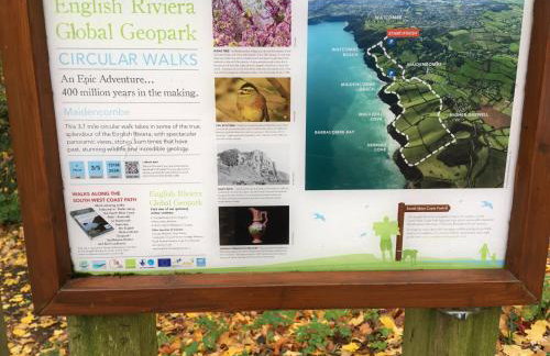 Headlands, Maidencombe - Foto 14