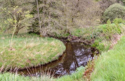 Gallow Law Cottage - Foto 39