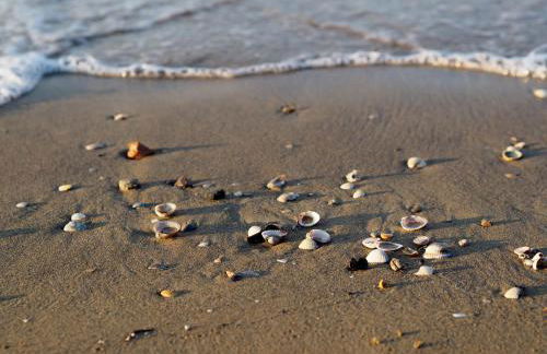 Wonderful Apartment Next to Bibione Beach - Foto 28