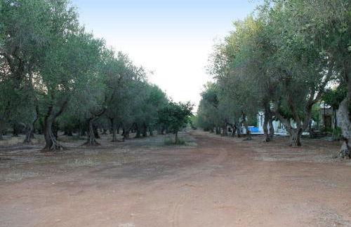 Villetta Salento Lu Trolitu - Foto 20