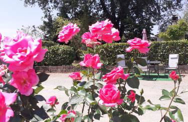 La Vecchia Quercia - Foto 74