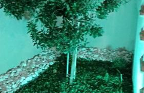 Iris Deluxe Suites 1 - Photo 41