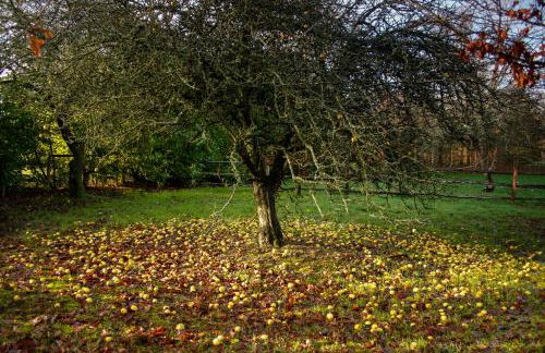 The Stables complex Sleeps 6 with hot tub - Foto 6