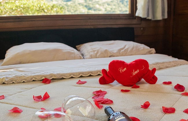 Chalé Diamante Negro - Urubici - SC - Foto 5