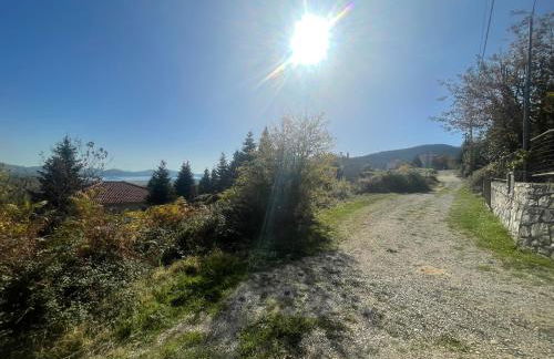 Forest House - Photo 21