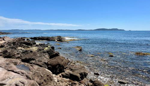 Bord de mer aux Pins Penchés - Foto 5