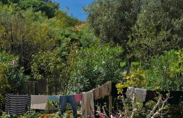 House With Pergola And Stunning Sunset On Elba - Foto 19