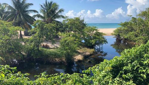 CASA DE PRAIA CORURIPE - LAGOA DO PAU - Foto 3