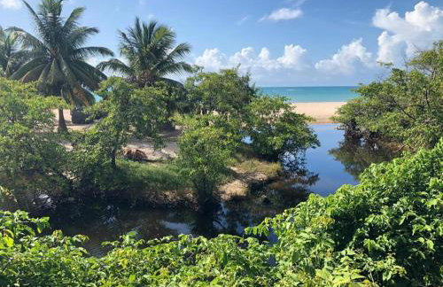 CASA DE PRAIA CORURIPE - LAGOA DO PAU - Foto 3