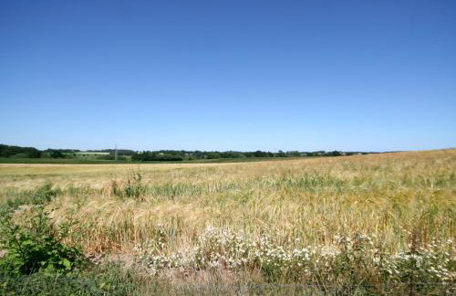 Sally's Nest - E3042 - Foto 17