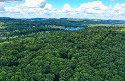 Mountain retreat w 2 fireplaces & lake - Foto 56