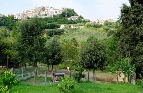 Agriturismo L'Arca di Anna Brambilla - Foto 50