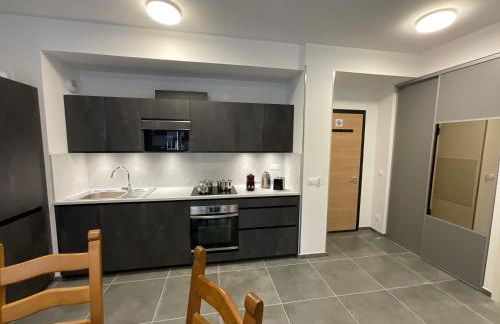 Appartement au pied du Mont-Blanc 2! - Foto 5