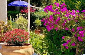 Spiti Galini, "Haus der Zufriedenheit" - Foto 37