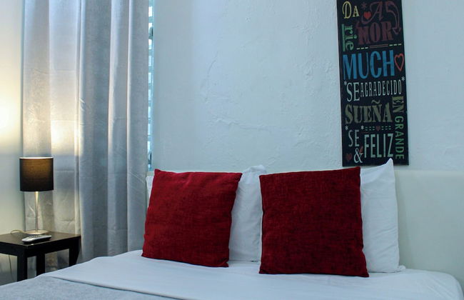 Gladiolas 1103 - Foto 2