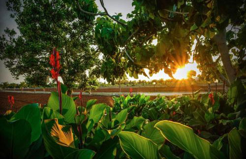 Villa Alymir - Foto 20