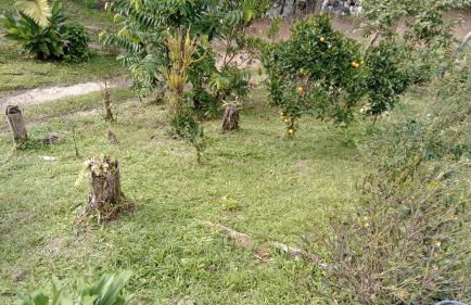 Rancho Maria Flor - Photo 23