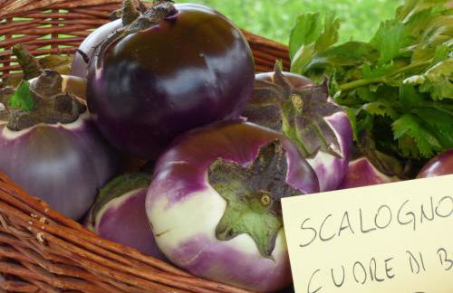 Agriturismo la Sforzata - Photo 14