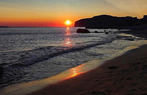 The Green Home - Foto 71