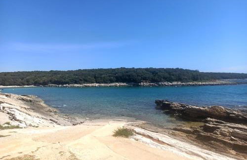 Apartman Dora - Foto 31