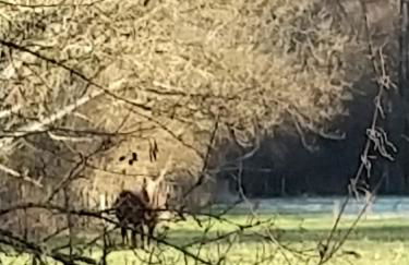 Le Grenier du Moulin - Foto 25