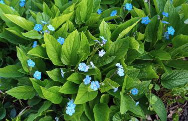 Ferienwohnung Dreher - Foto 12