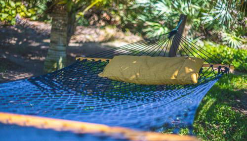 Tranquility Starfish Suite - Oceanfront Paradise! - Foto 5, Garden