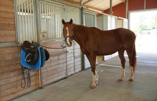 In the Woods by a Pond! Sugar Ranch Guest House! - Foto 72