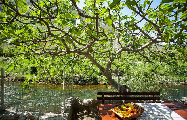 House With Large Garden, Right Next to the River - Foto 31