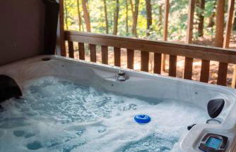 Cheerful Two Bdrm Cabin with Hot Tub & Pet Friendly - Foto 29