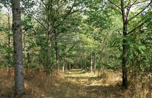 Chateau L' Escale - Photo 16