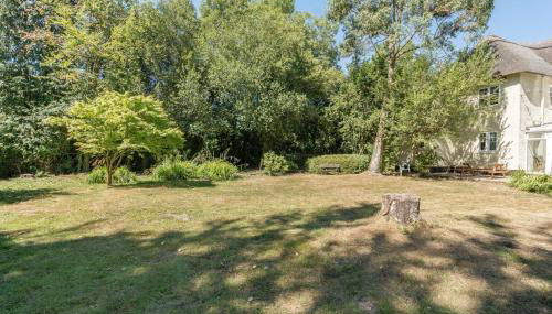 Wonderful thatched cottage in the New Forest National Park - Foto 2