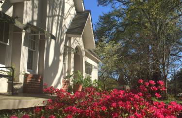 City Cottage on Main Street In North GA - Foto 33