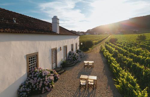 Morgadio da Calcada Douro Wine&Tourism - Photo 51