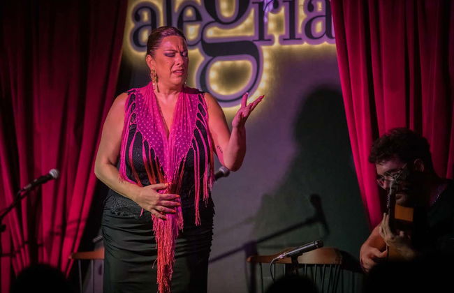 Espetáculo de flamenco no Alegría - Foto 21