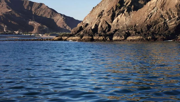 Dibba Bay Cruise - Foto 3