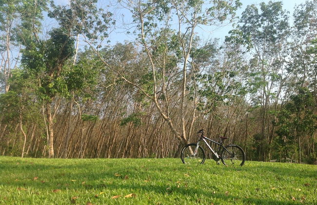 De Chom Villa - Foto 50