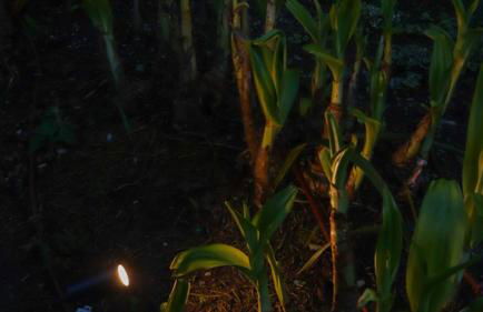 Uporto House Palace - Foto 48