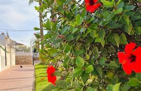 Casa De Lince calle Rio Ebro 48 - Foto 46