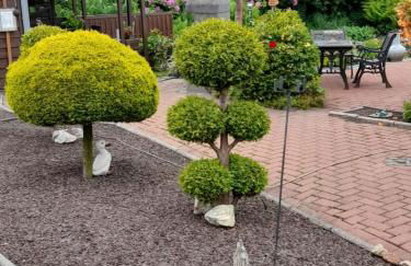 Apartment Osterloh by Interhome - Foto 26