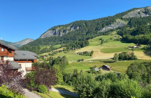 L'Ecrin des Myrtilles - Appartement cosy - Piscine et vue montagne - Alpes - Val d'Arly - Aravis et Beaufortain - Foto 16