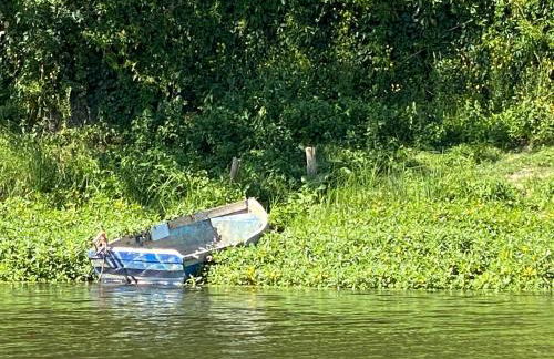 Le Charles VII CHINON - Foto 22