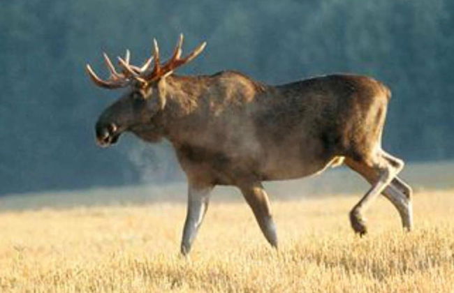 Charming 6 Bedroom House & Horse Farm - Sleeps 12 - Foto 34