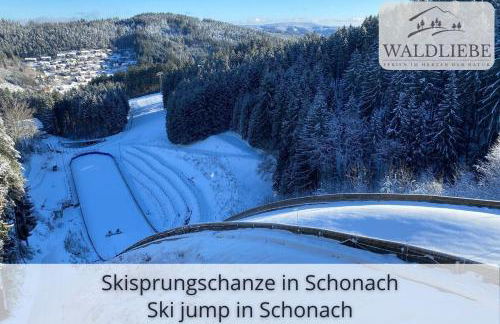 Exklusives 5-Sterne Apartment Waldliebe mit Indoor-Pool, Sauna, top Lage und Ausblick in die Natur, Hunde willkommen - Foto 48