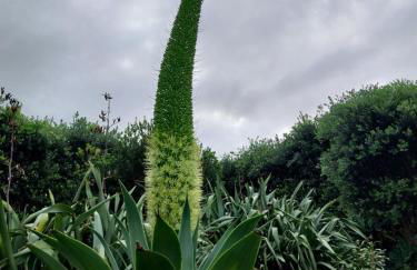 Sítio da Assumada - Foto 49